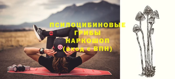 кокаин перу Богданович