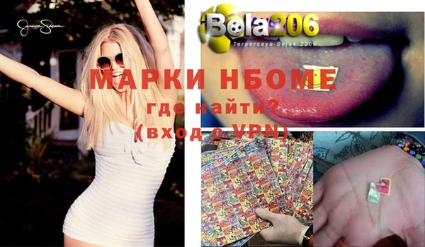 дживик Няндома