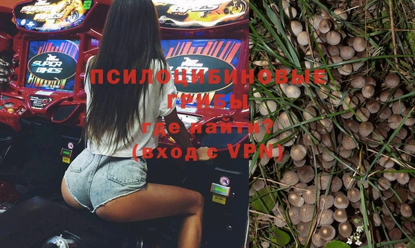 ПСИЛОЦИБИНОВЫЕ ГРИБЫ Богородицк