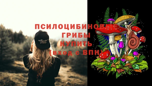 прущие крисы Богородск