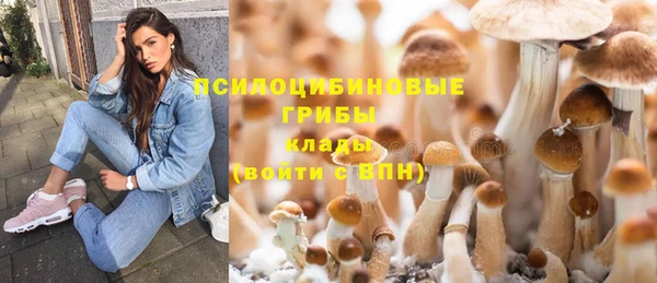 прущие крисы Богородск