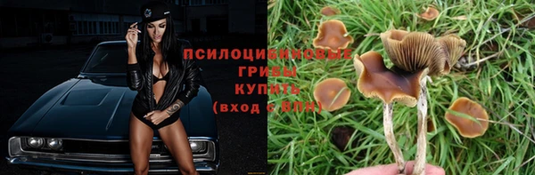 ПСИЛОЦИБИНОВЫЕ ГРИБЫ Богородицк