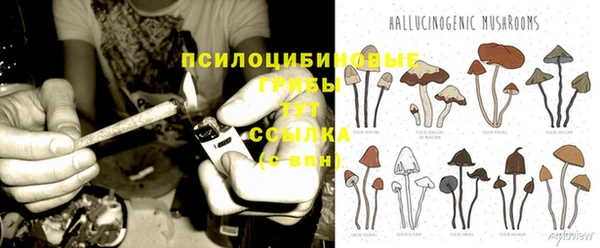 кокаин перу Богданович